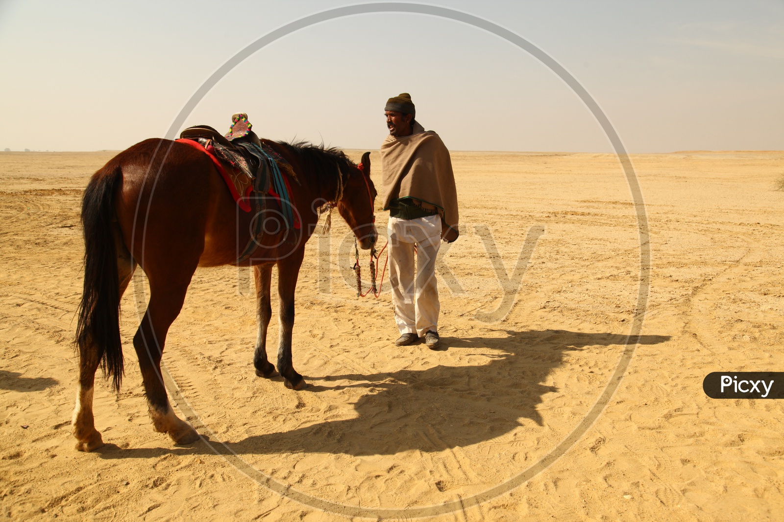 A man and a horse in the desert