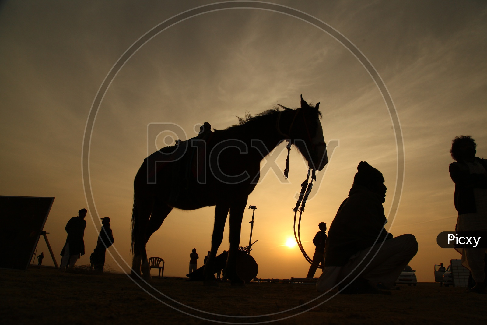 Silhouette of a horse and People moving around