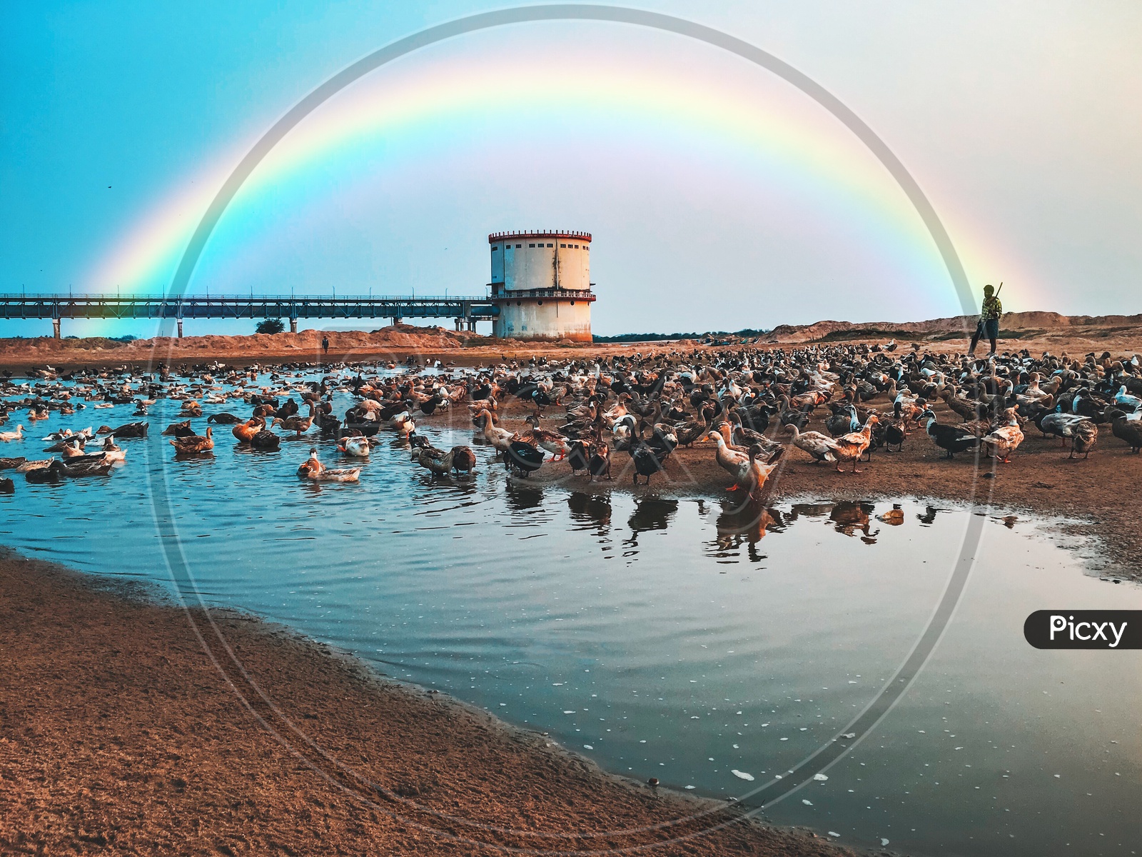 Rainbow over the Godavari River alongside the Duck Poulterer