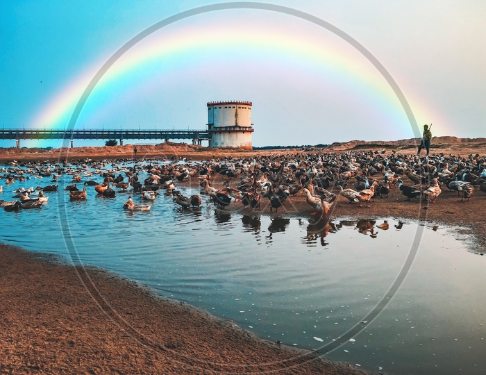 Rainbow over the Godavari River alongside the Duck Poulterer