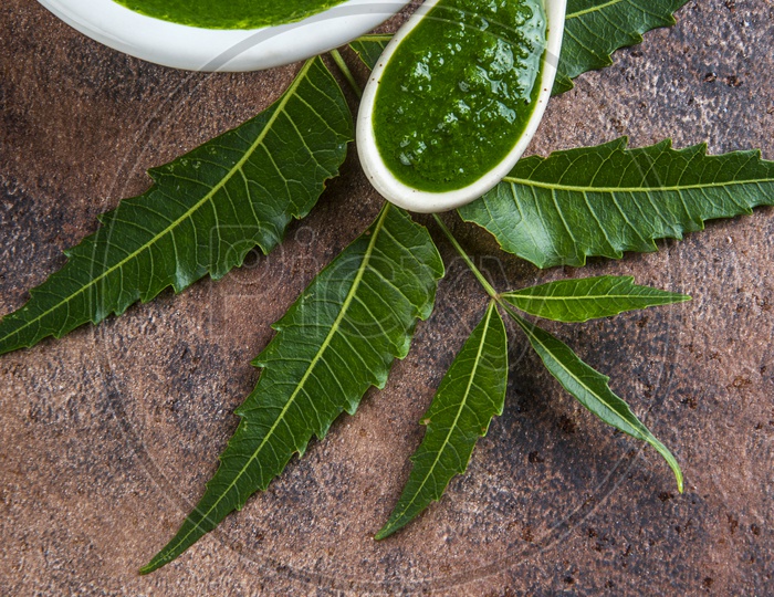 Medicinal Neem leaves with paste on stone background