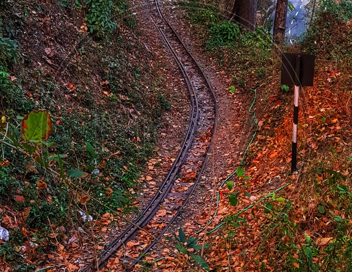 The toy train track of Darjeeling bends through the dense forest