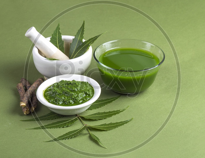 Medicinal Neem leaves in mortar and pestle with neem paste, juice and twigs on green background