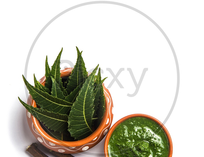 Medicinal Neem leaves with paste and twigs on white background