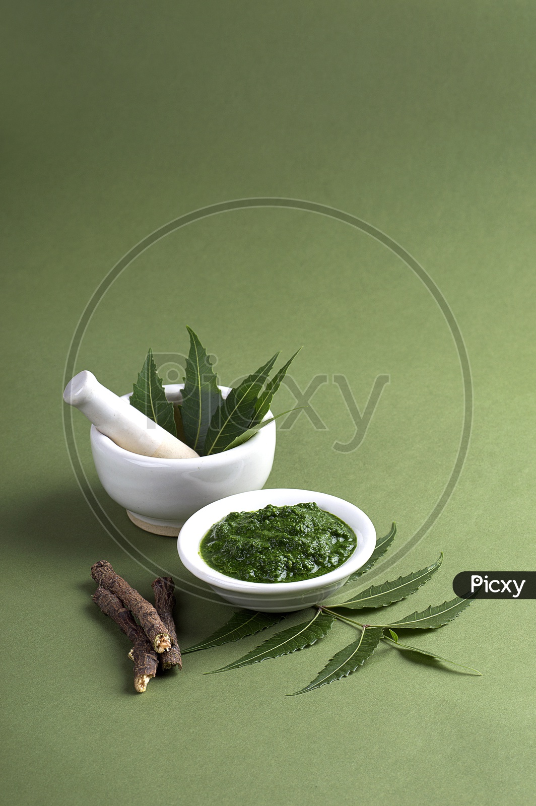Medicinal Neem leaves in mortar and pestle with paste and twigs on green background