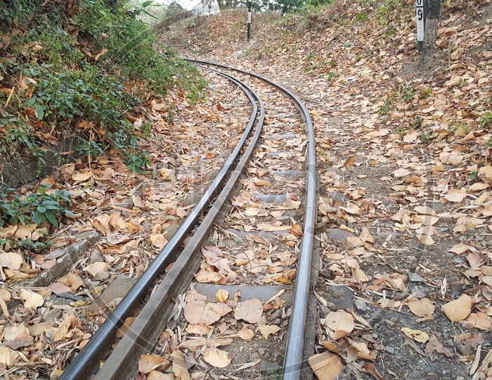 The narrow gauge tracks bends throught the forest