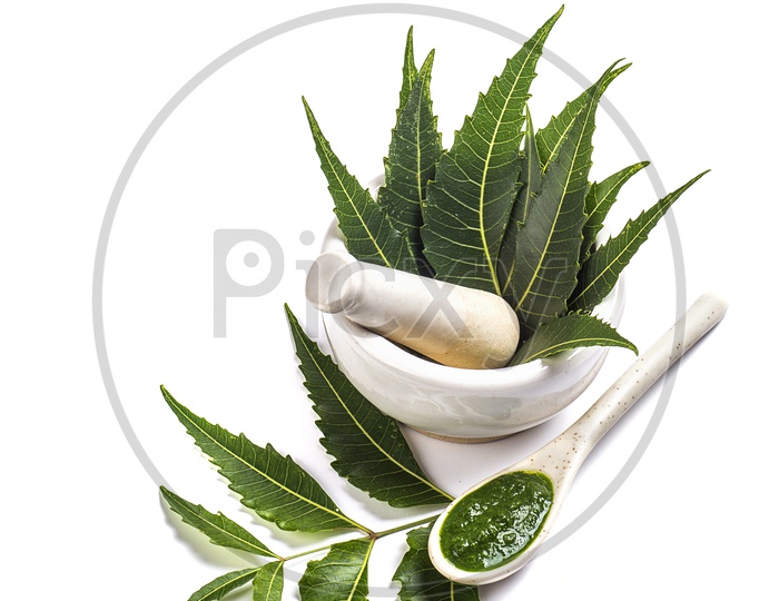 Medicinal Neem leaves in mortar and pestle with neem paste on white background