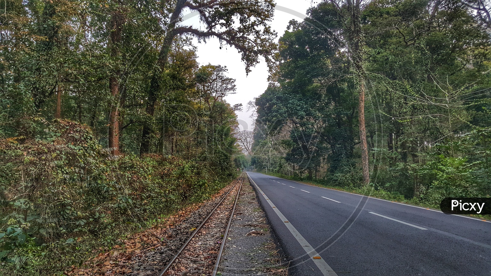 The scenic hill cart road near Rongtong