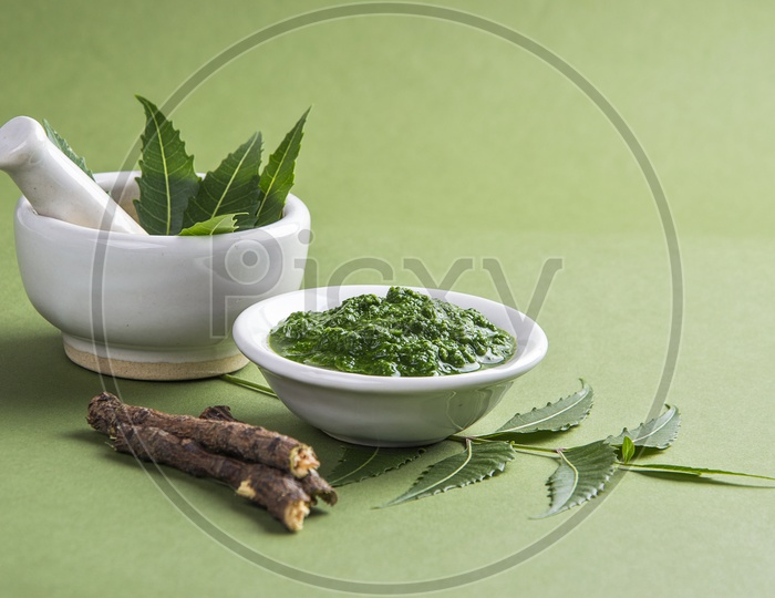 Medicinal Neem leaves in mortar and pestle with paste and twigs on green background