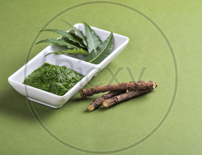 Medicinal Neem leaves paste and leaves with twigs on green background