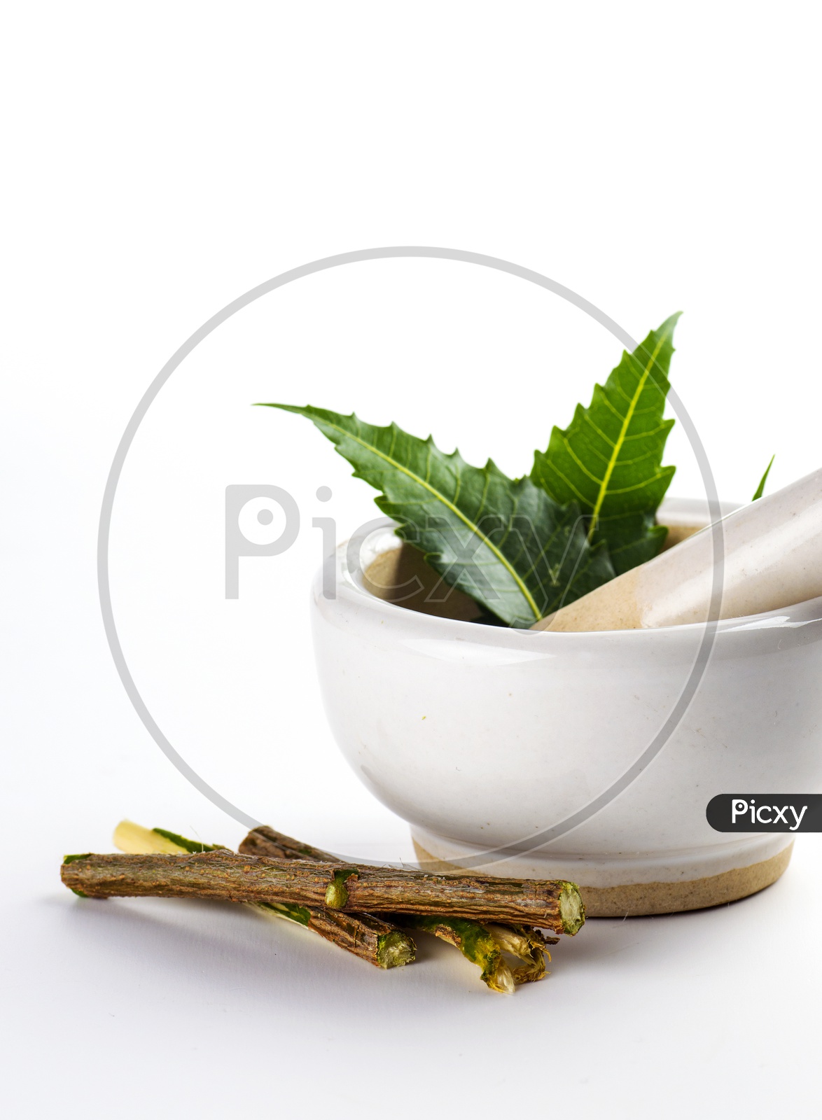 Mortar and pestle with medicinal neem leaves on white background