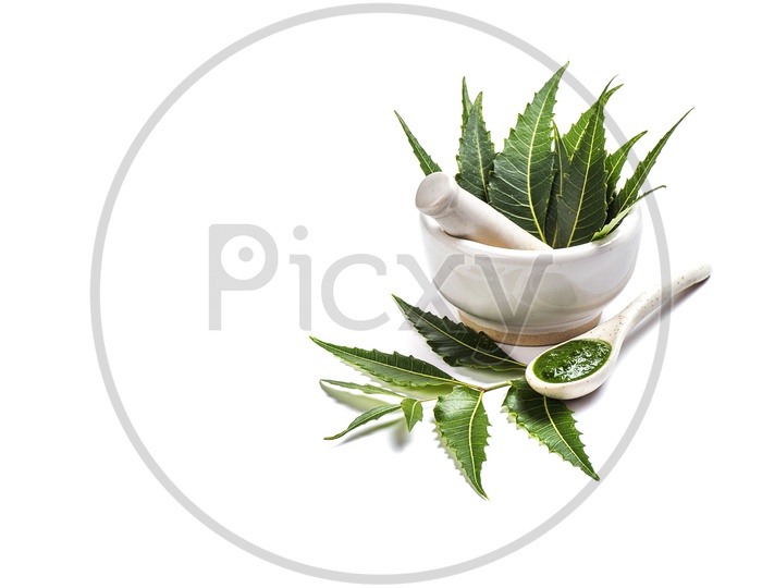 Medicinal Neem leaves in mortar and pestle with neem paste on white background