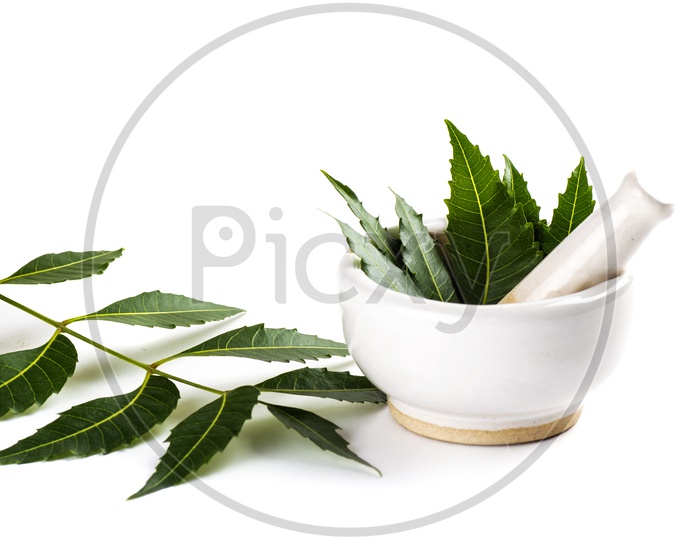 Mortar and pestle with medicinal neem leaves on white background