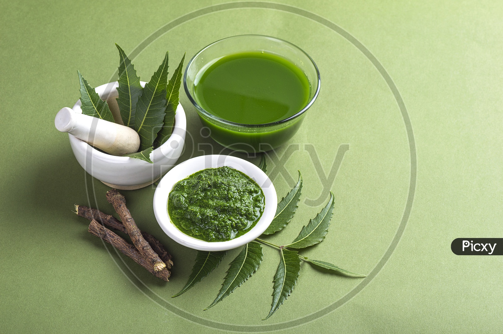 Medicinal Neem leaves in mortar and pestle with neem paste, juice and twigs on green background