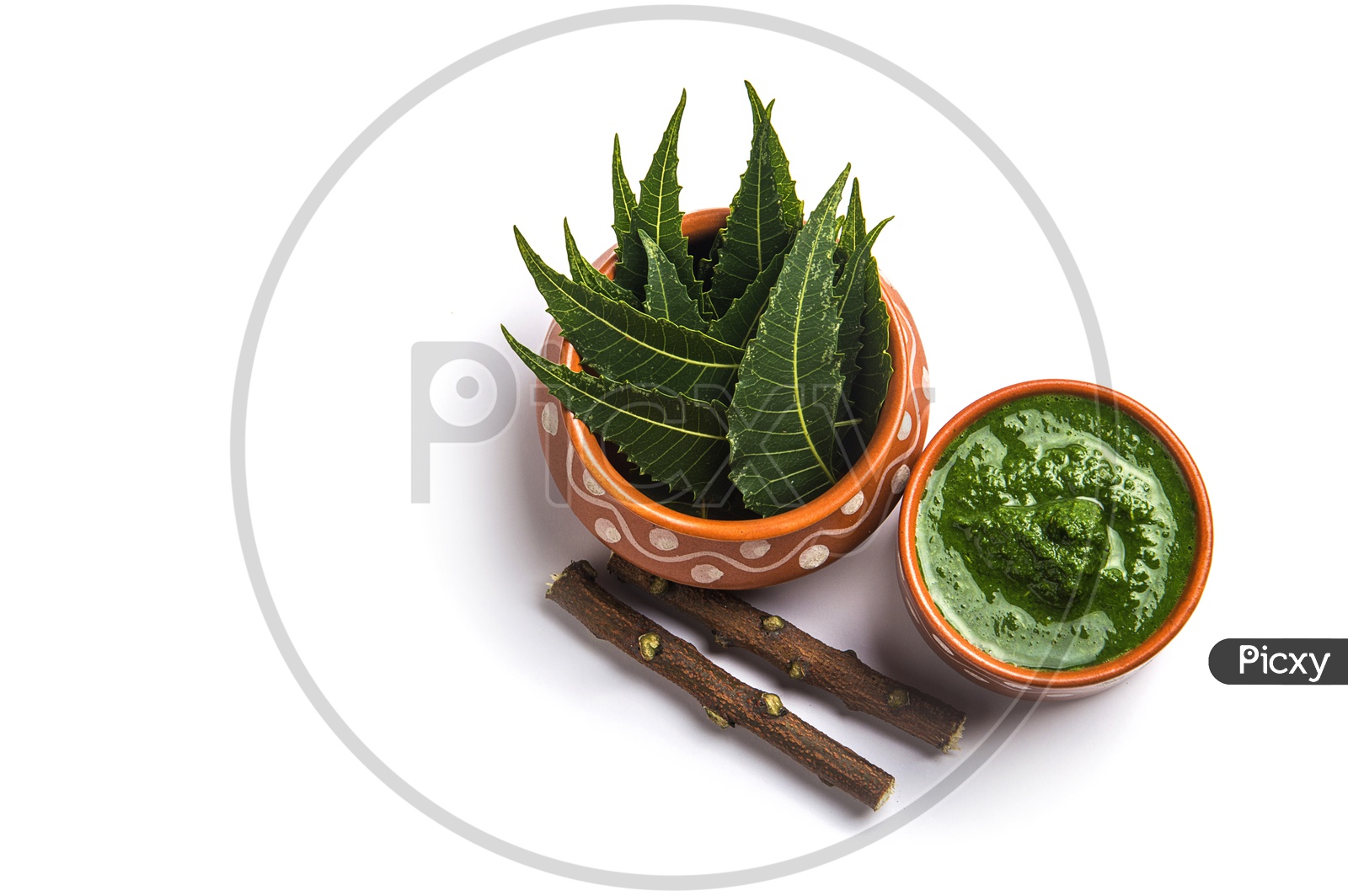 Medicinal Neem leaves with paste and twigs on white background