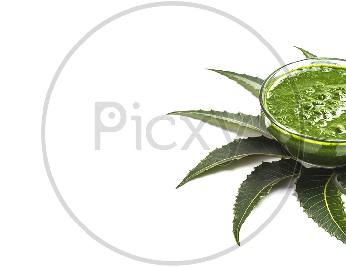 Medicinal Neem leaves with paste in bowl on white background.