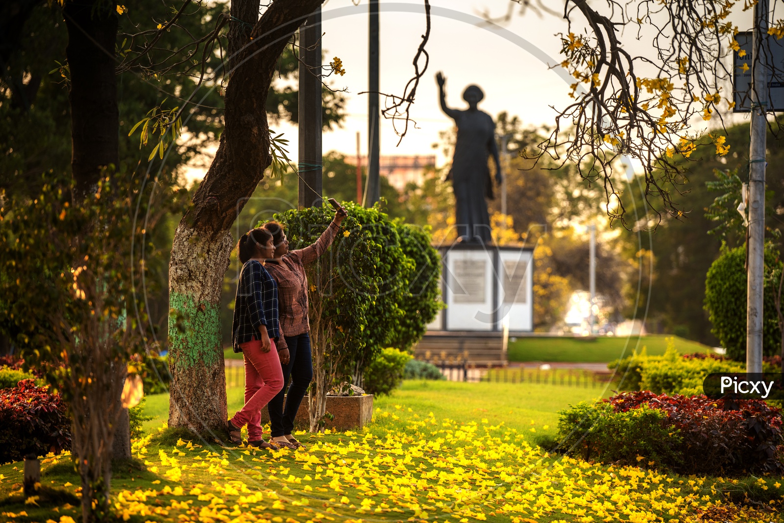 Girls take a Selfie at Indira gandhi Statue as the trees bloomed with Yellow Flowers in Necklace Road