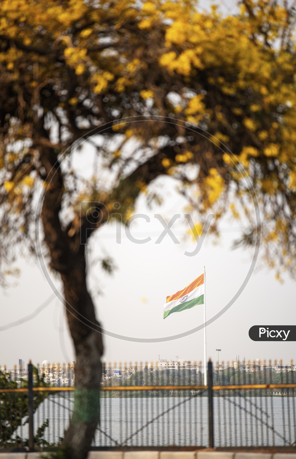 Indian Flag through the flowers tree