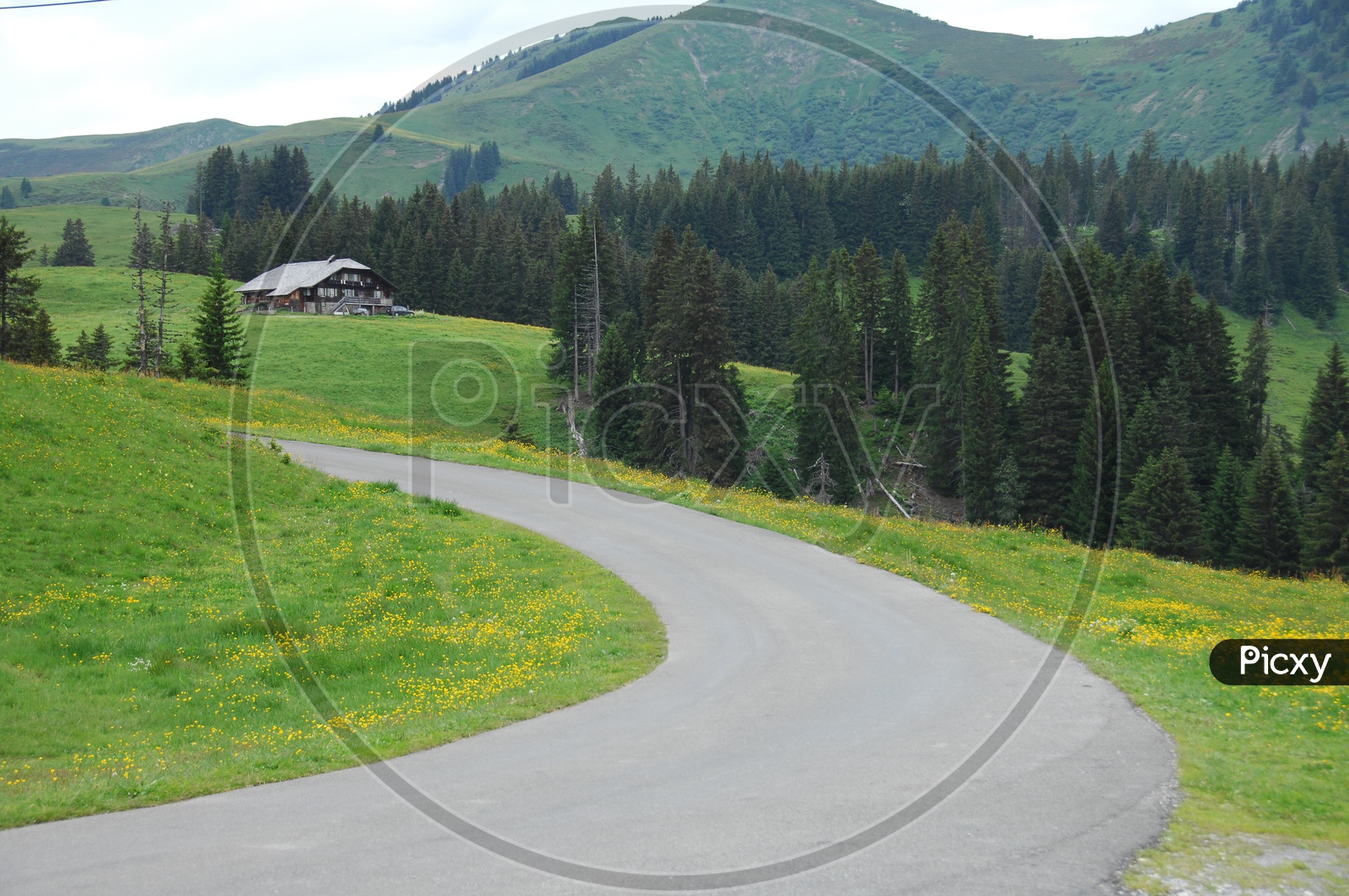 Road curve alongside the green meadow