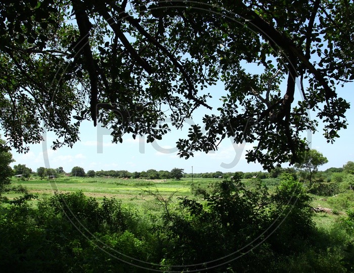 View of Green land