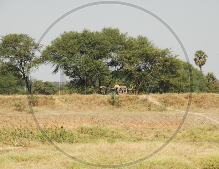 A bullock cart alongside the empty land