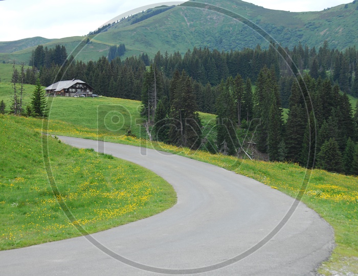 Road curve alongside the green meadow