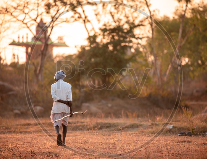 An Old Man Walking Along a Pathway To His Farm Land In Rural Village