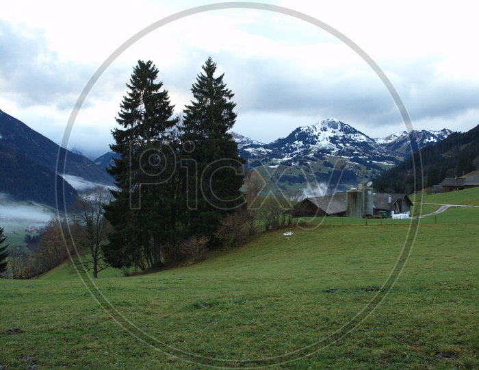 Landscape of Swiss Alps alongsdie the green meadow