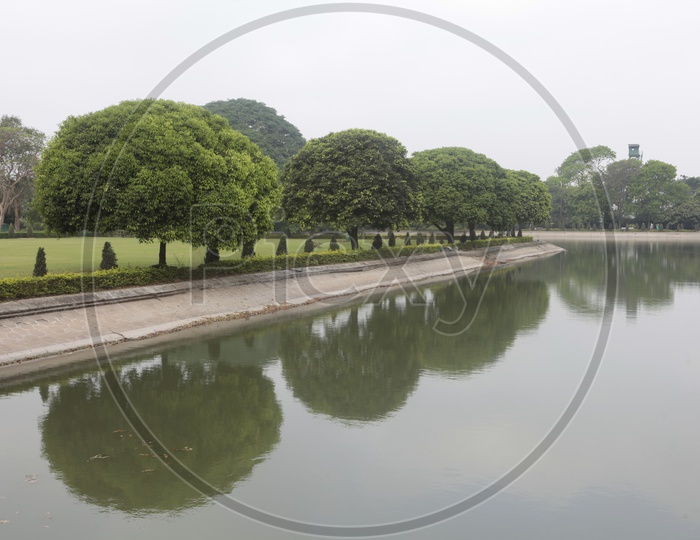 Trees alongside a canal