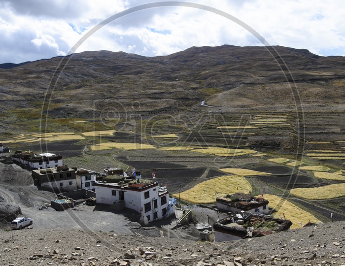Aerial View Of Irrigation Lands Or Agricultural Lands Besides Villages In Ladakh Valleys