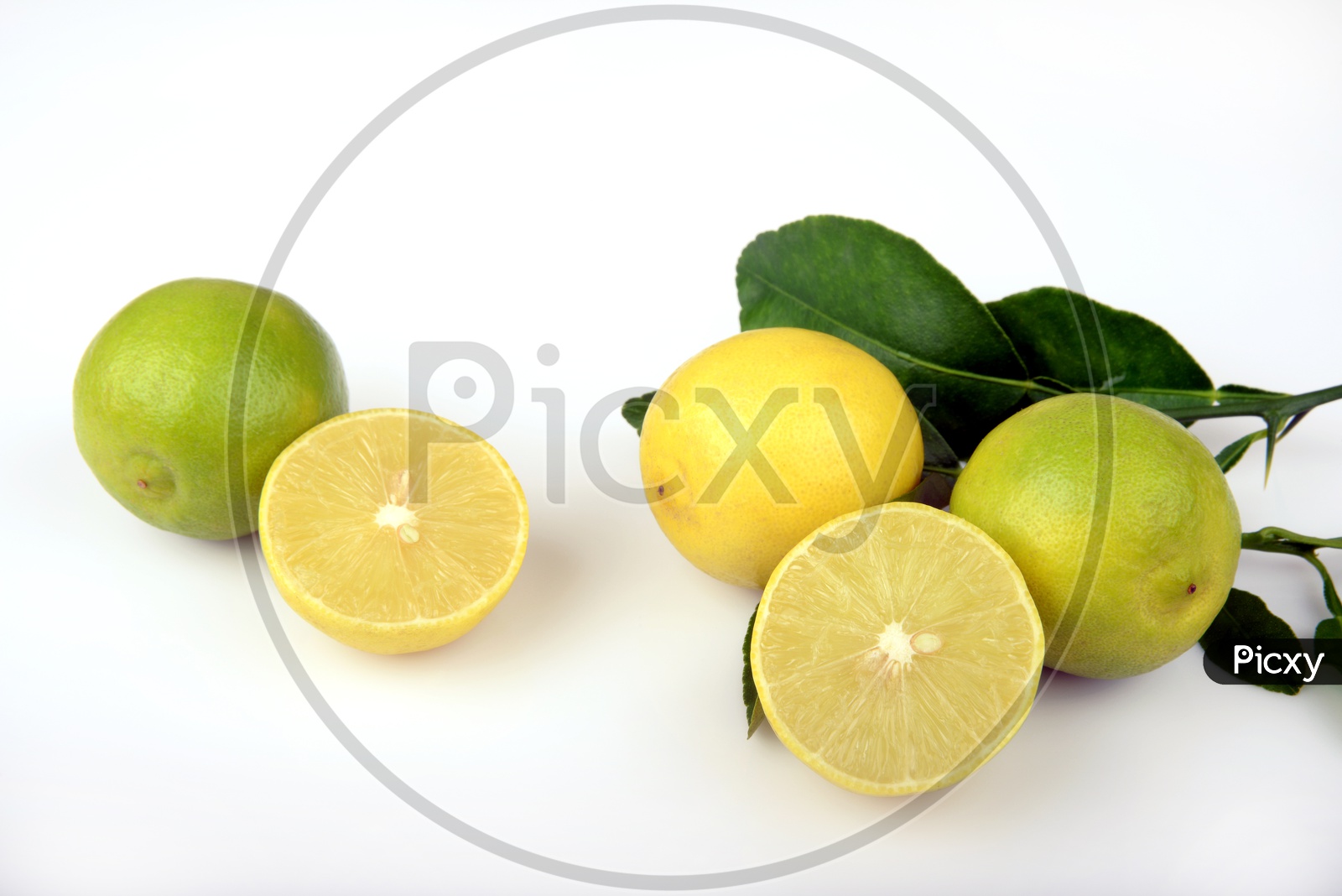 Fresh Juicy Ripe Lemon, a citrus fruit