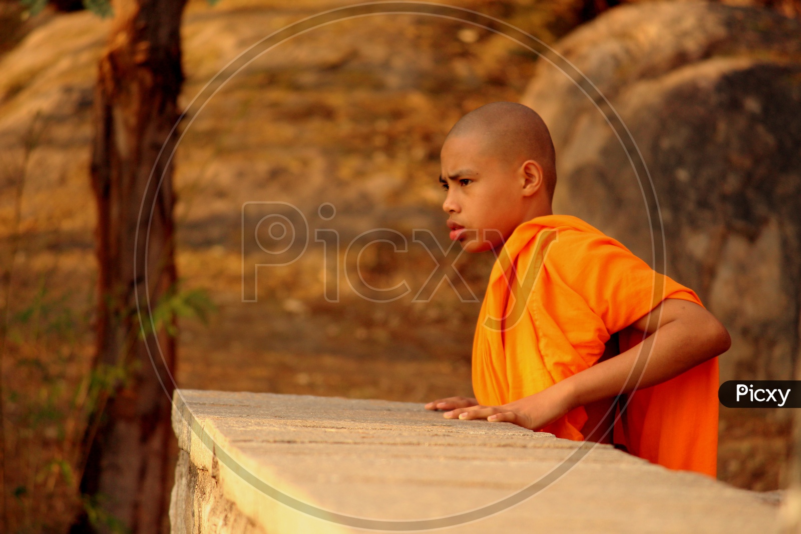 The young monk - 2