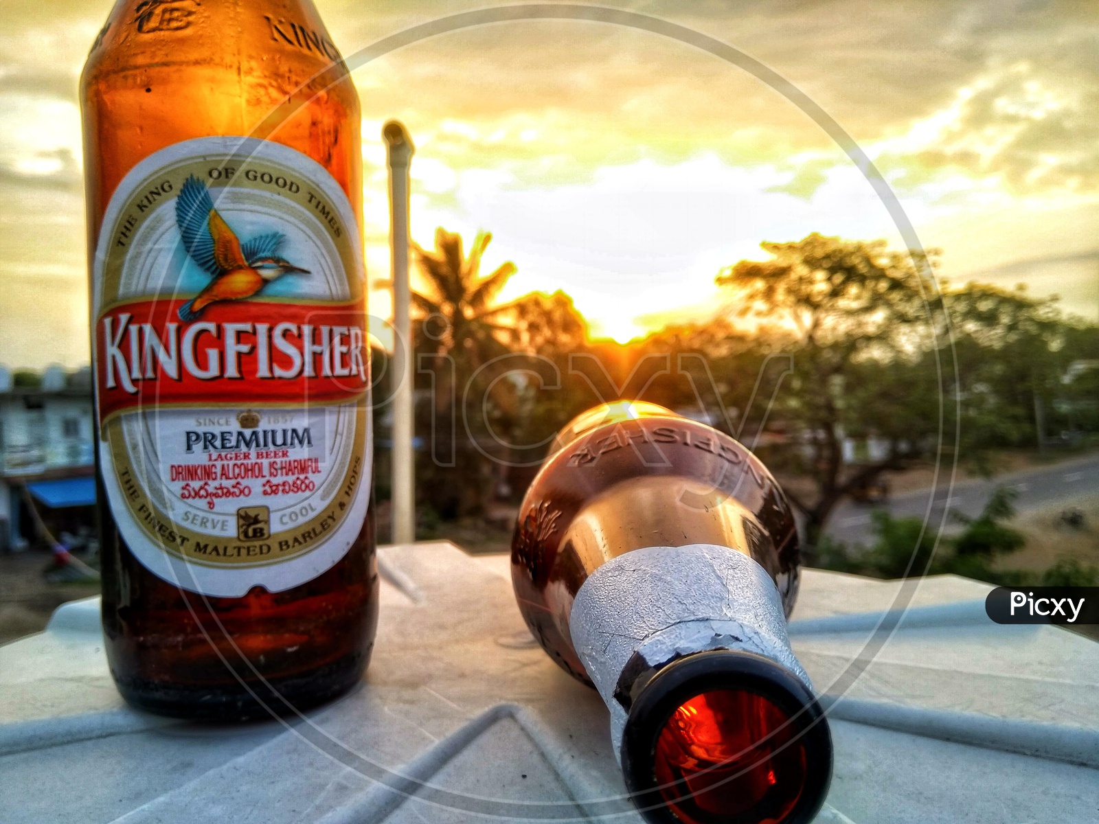 I've only been in love with a beer bottle and sunset