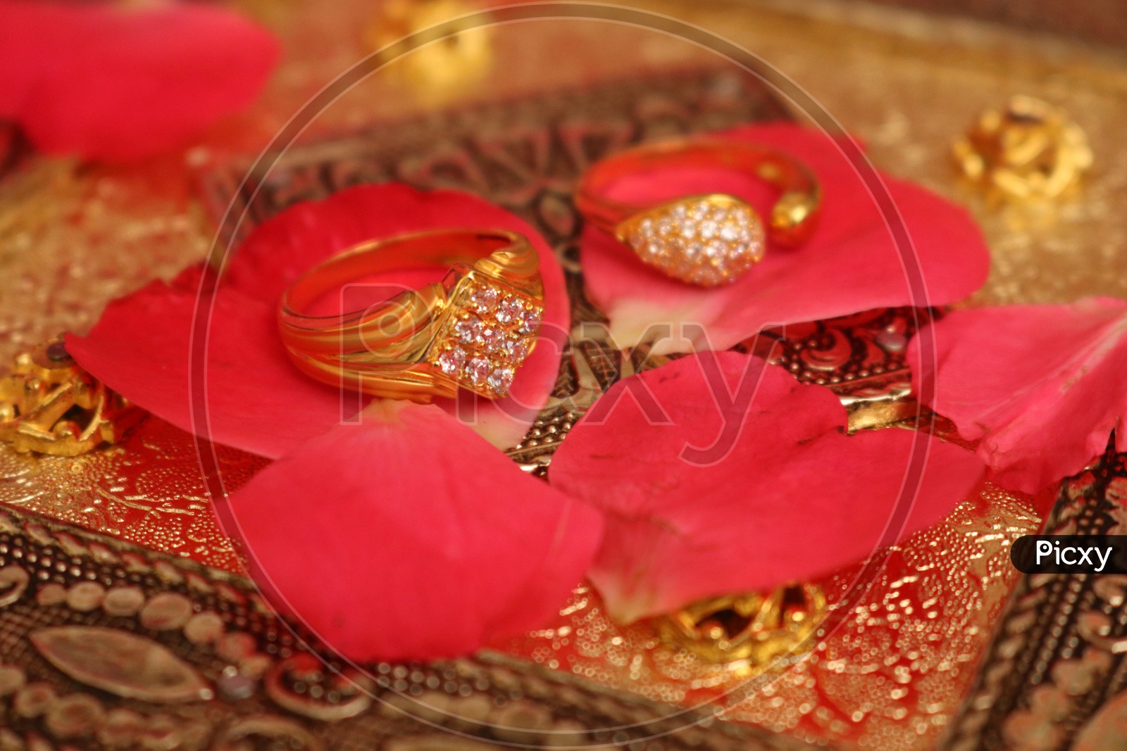 An Indian Bride and Groom Their Shows Engagement Rings during a Hindu  Wedding Ritual Stock Image - Image of indian, family: 166676575