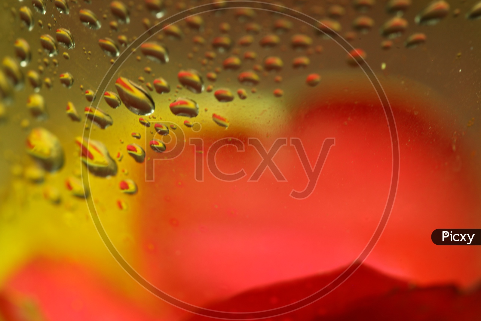 Water droplets red and yellow abstract background