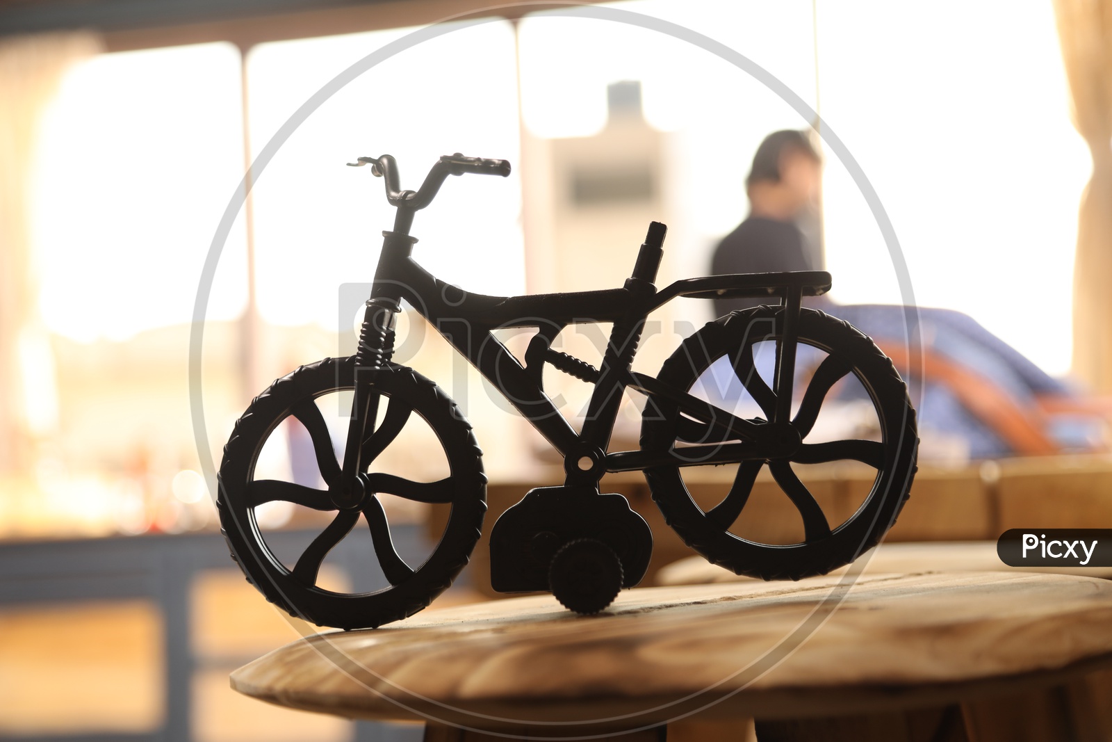 A Cycle Toy or Paper Weight