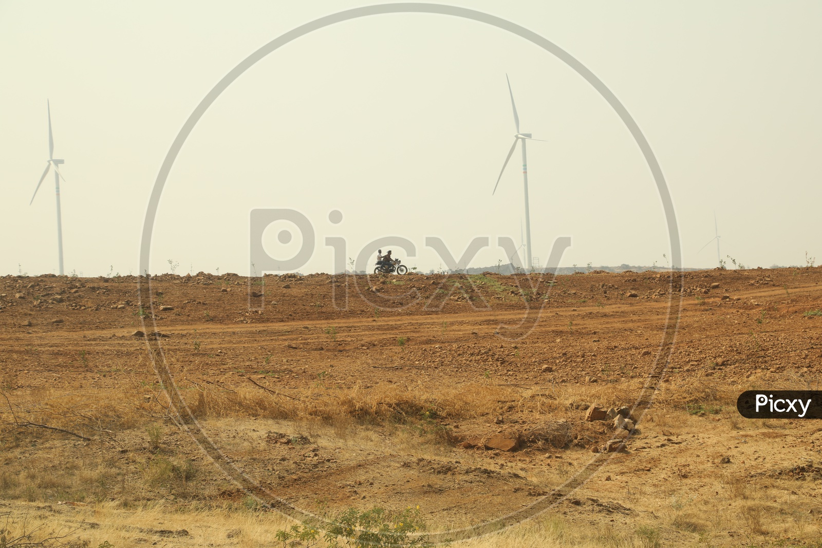 A Man Riding Bike At Windmills