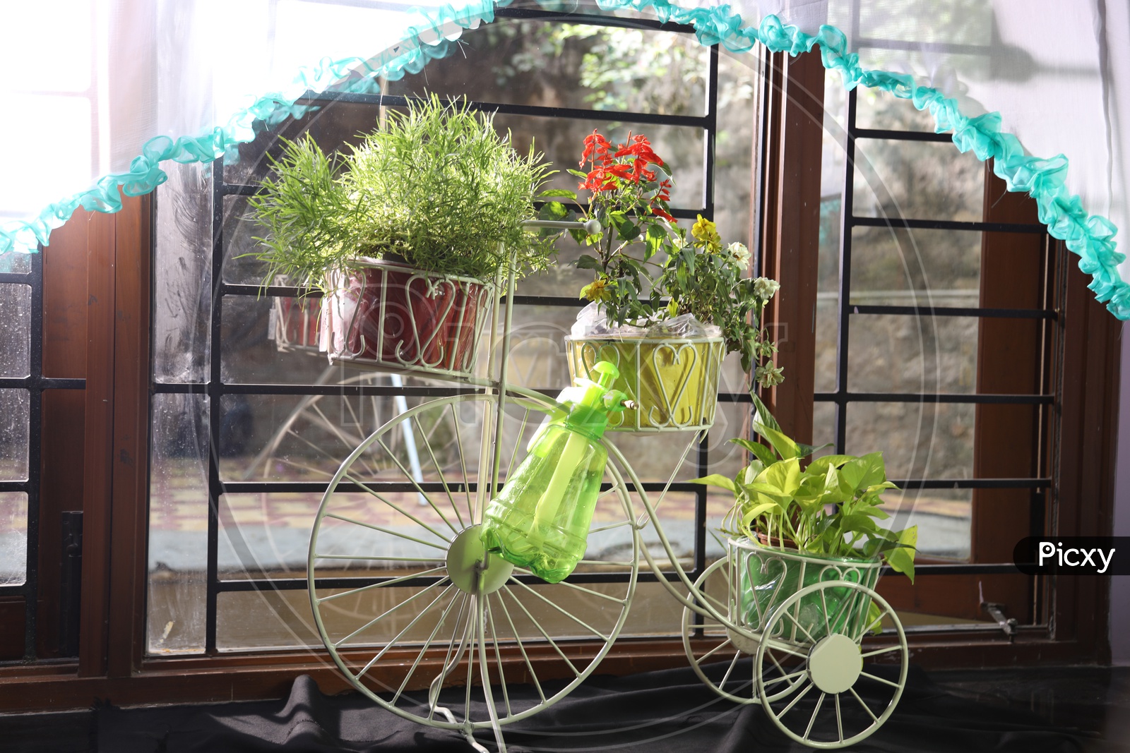 Tricycle planter with plants