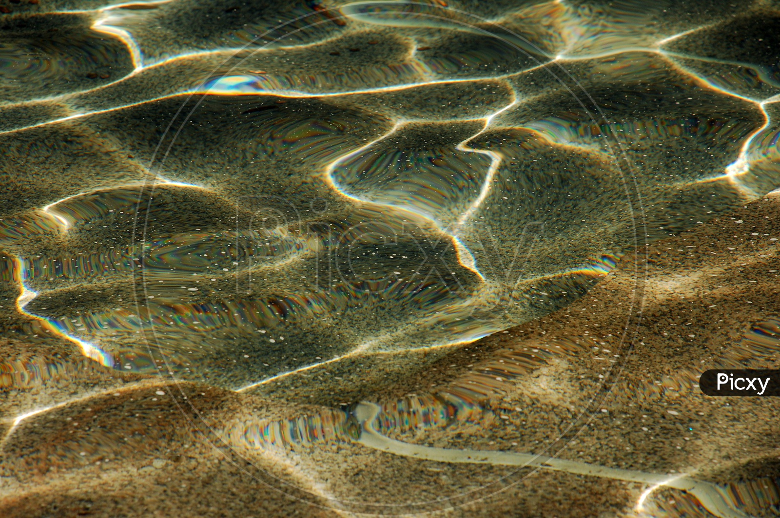 Water waves abstract