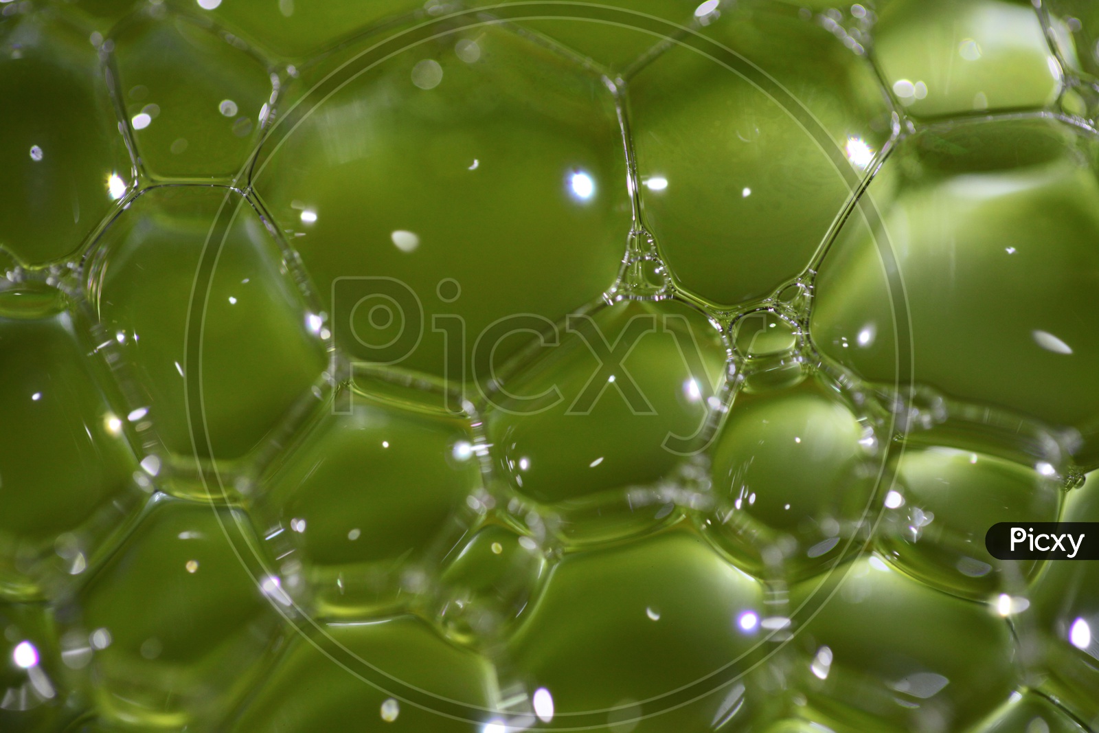 Texture Of Water Bubbles on a Surface