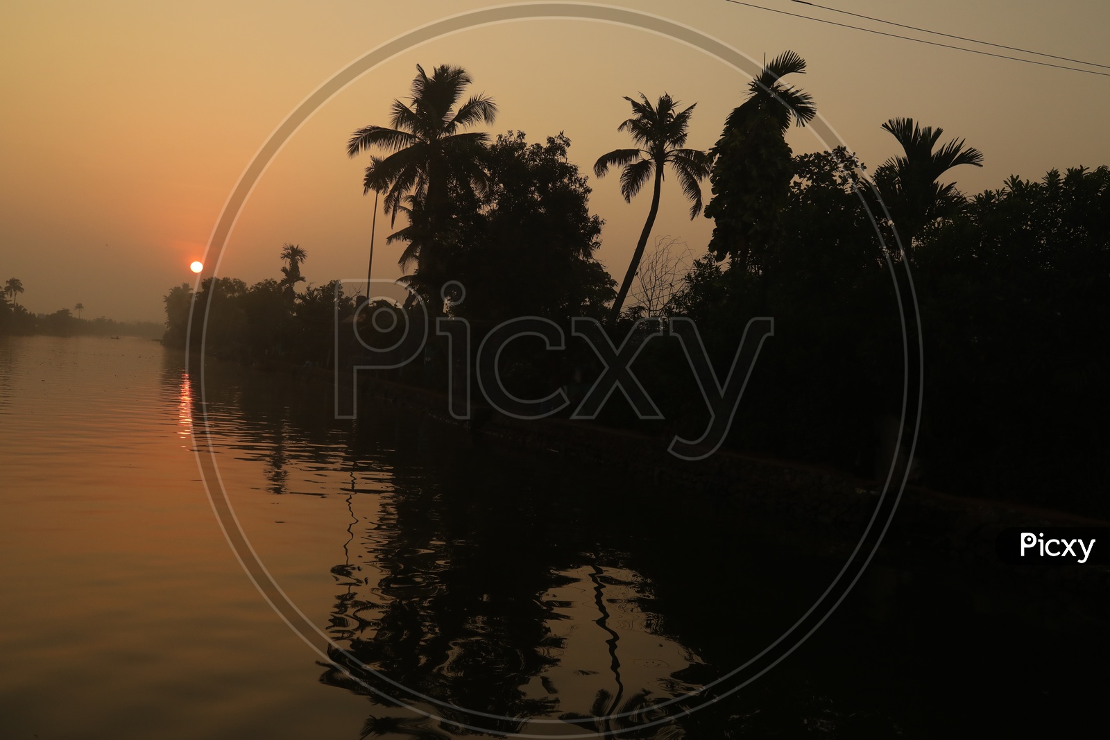 Coconut trees and sunset in the background