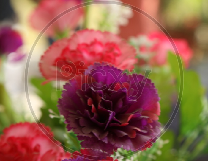 Colourful artificial flowers