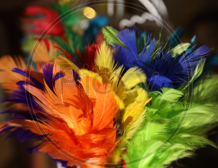 close up shot of coloured feathers