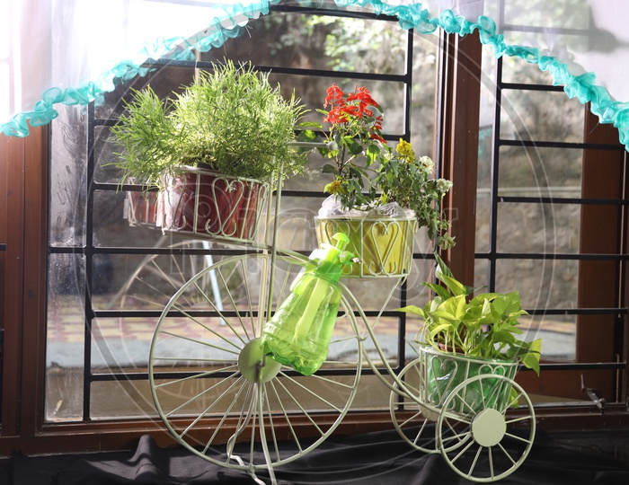 Tricycle planter with plants