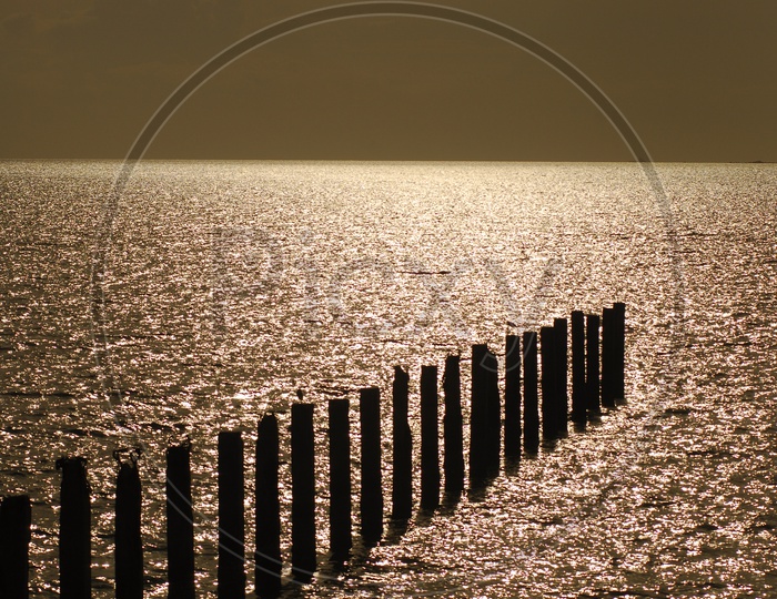 A Pier of  Poles Into Sea Water With Golden Luminous Light
