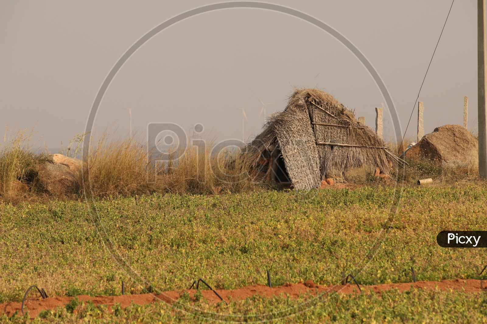 Nipa hut with dry steppe grass in the agriculture fields