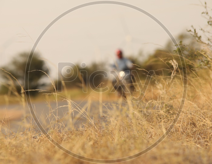 Dry steep grass on the roadside - Biker out of focus