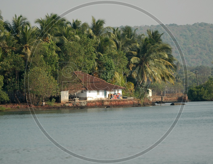 House and coconut trees  besides Mandovi river