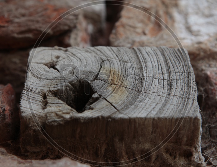 A Wooden Log