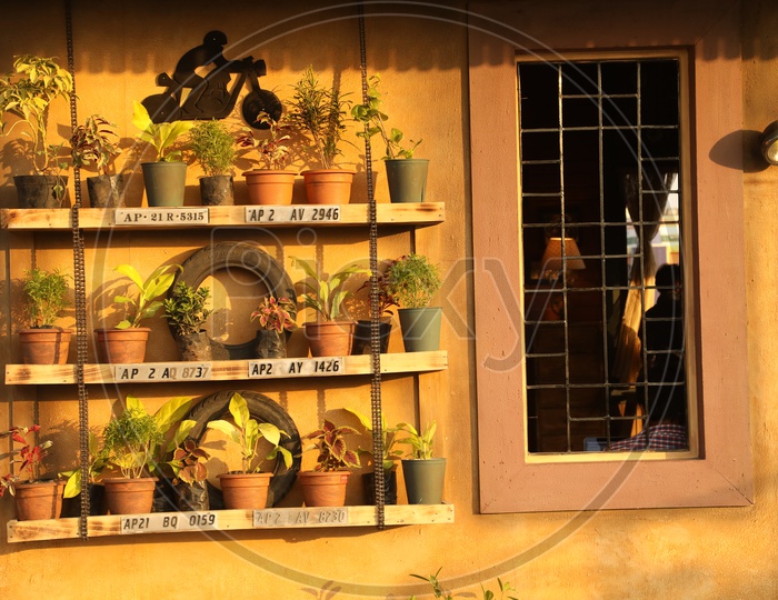 Plants Growing In Pots In a House